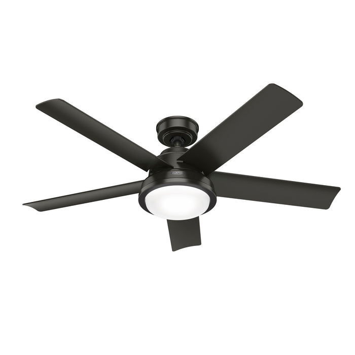 Hunter 52417 52" Ceiling Fan, Noble Bronze