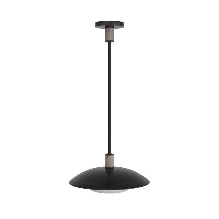 Arteriors DSI03 One Light Pendant, Blackened Iron