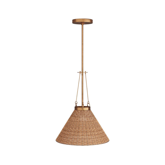 Arteriors GCDPI01 One Light Pendant, Natural