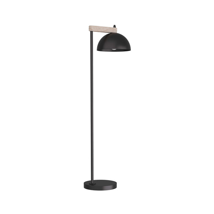 Arteriors PFI03 One Light Floor Lamp, Blackened Iron