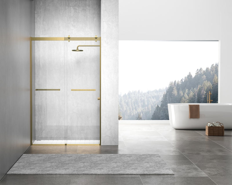 Elegant Lighting SD202-4876BGD Shower Door, Clear