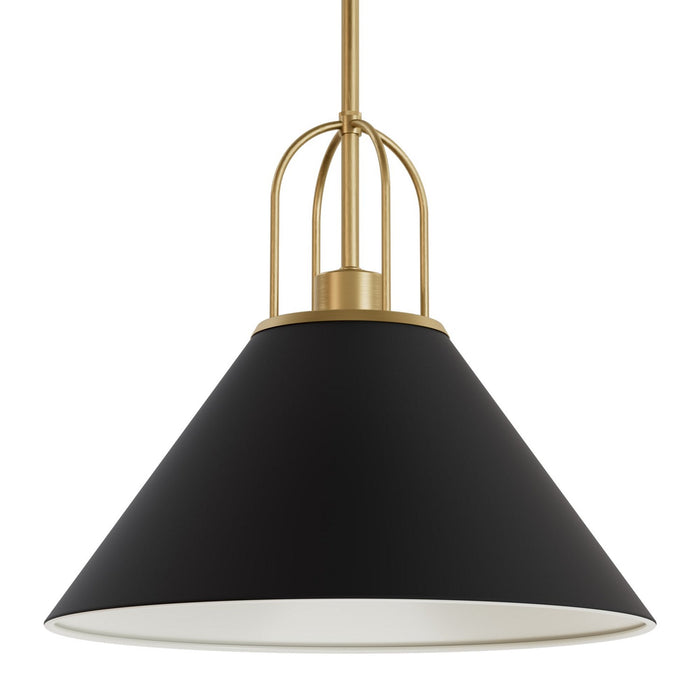 Hunter 13165 One Light Pendant, Matte Black