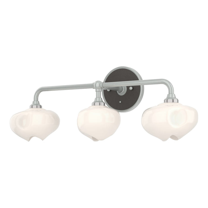 Hubbardton Forge 201342-SKT-82-14-FD0710 Three Light Bath Sconce, Vintage Platinum