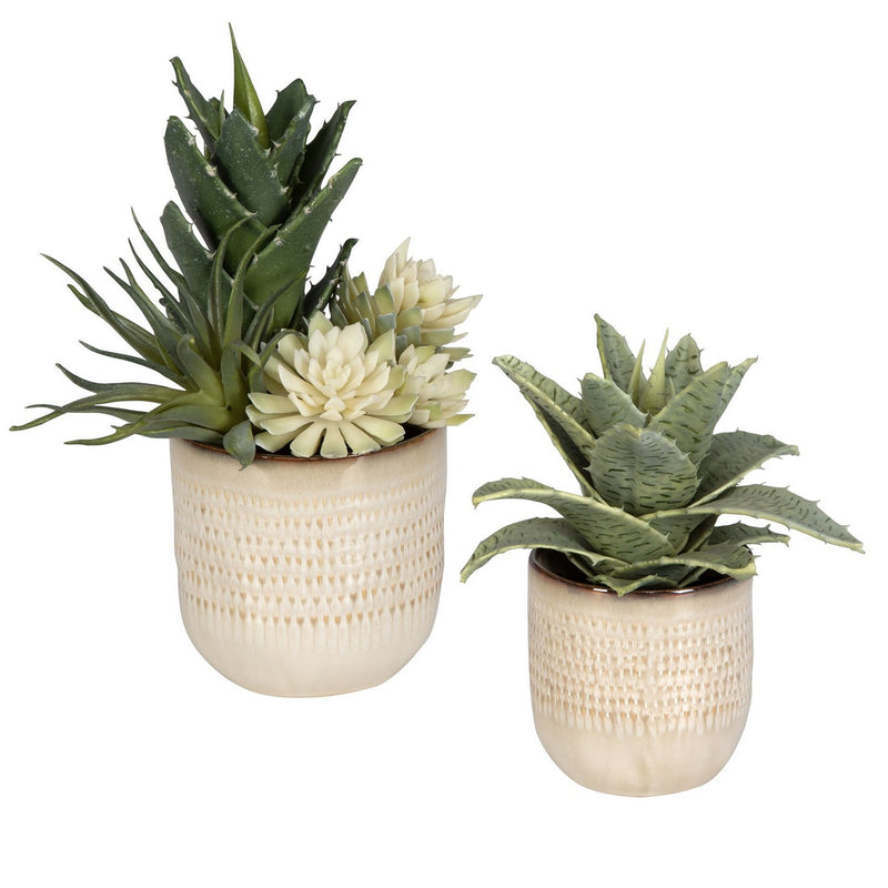 Uttermost 60208 Succulents, Set/2, Glazed In Neutral Tan