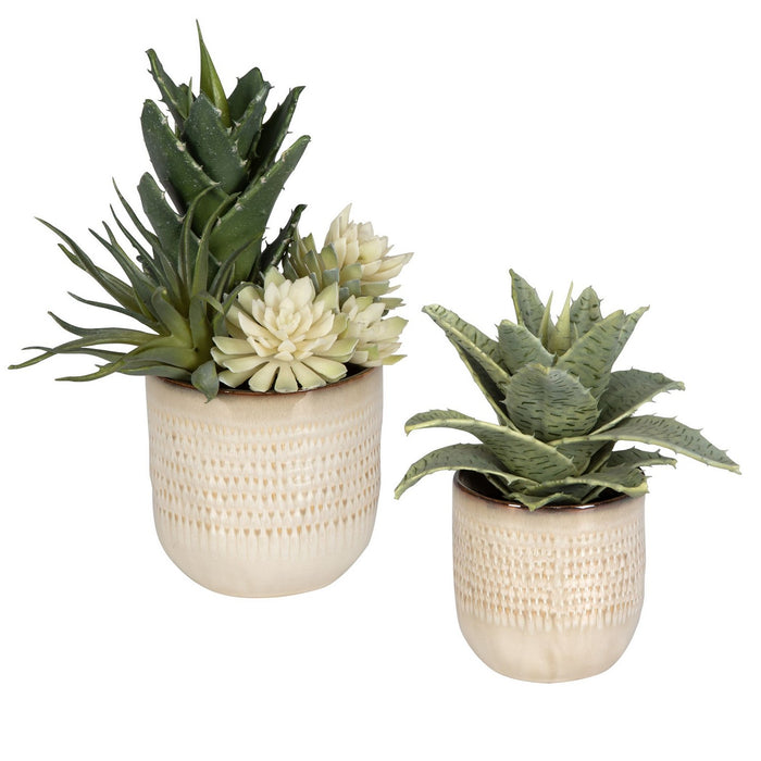 Uttermost 60208 Succulents, Set/2, Glazed In Neutral Tan