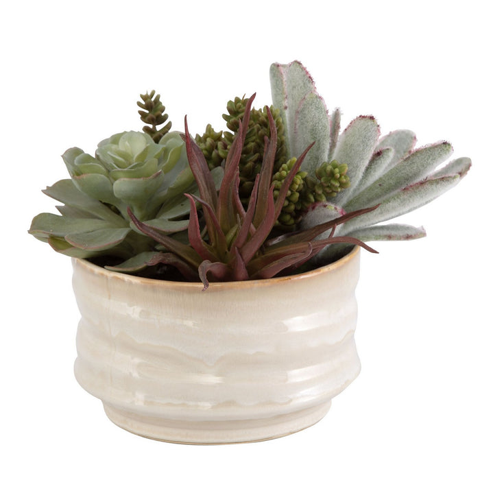 Uttermost 60209 Succulent Accent, Textured Tan