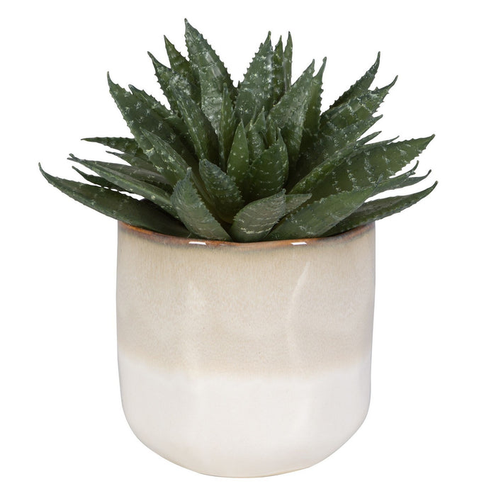 Uttermost 60213 Succulent Accent, Green And Burgundy