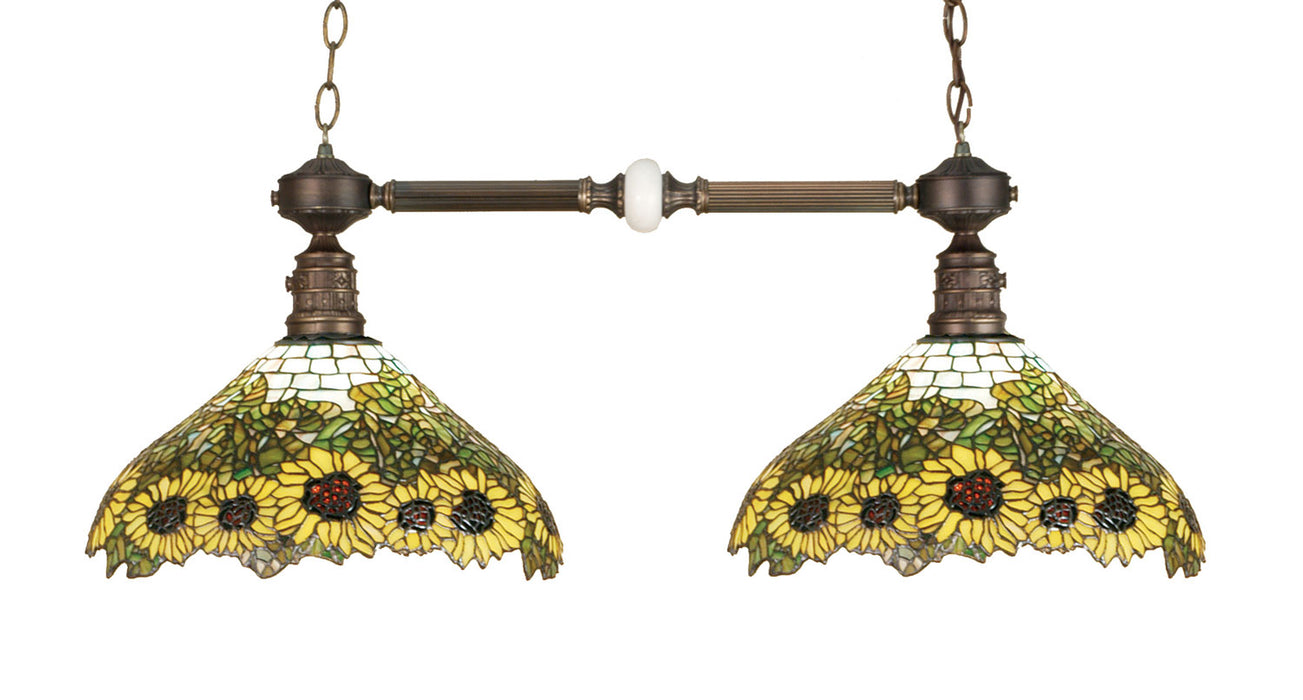 Meyda Tiffany 65825 Two Light Island Pendant, Mahogany Bronze