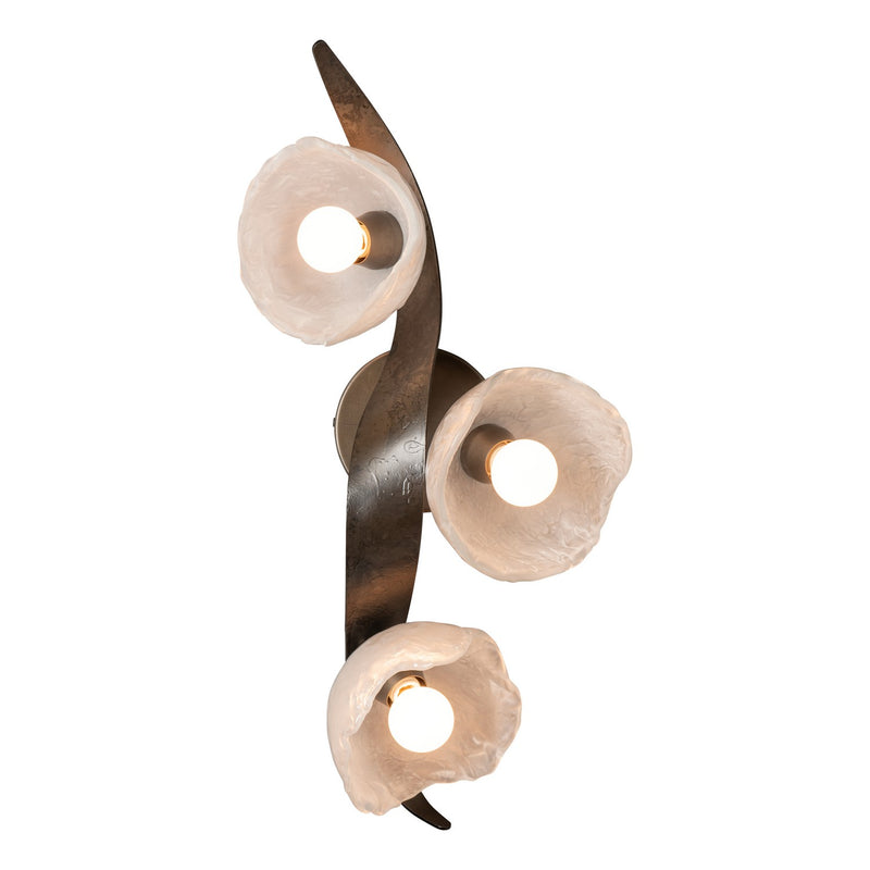 Hubbardton Forge 201060-SKT-07-FD0791 LED Wall Sconce/Semi-Flush, Dark Smoke