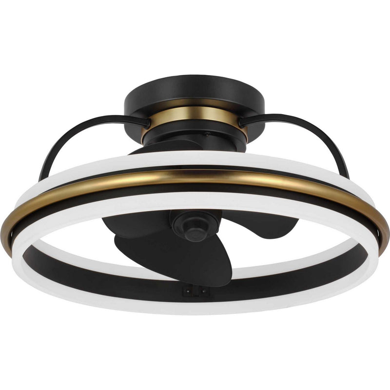 Progress Lighting P250116-31M-30 Ceiling Fan, Matte Black