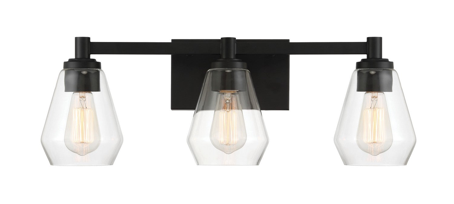 Minka-Lavery 5703-66A Three Light Bath Vanity, Coal
