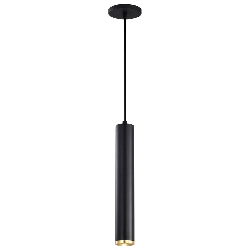 Nuvo Lighting 62-818 LED Pendant, Matte Black / Brushed Brass