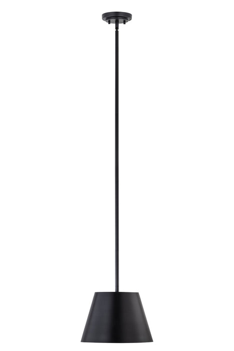 Z-Lite 2307-12MB One Light Pendant, Matte Black