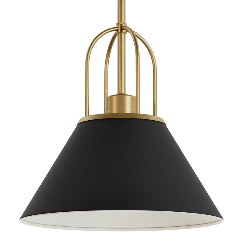 Hunter 13163 One Light Pendant, Matte Black