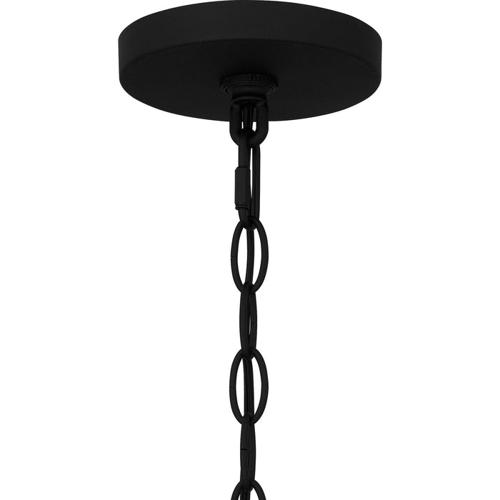 Quoizel BWE1910EK One Light Outdoor Hanging Lantern, Earth Black