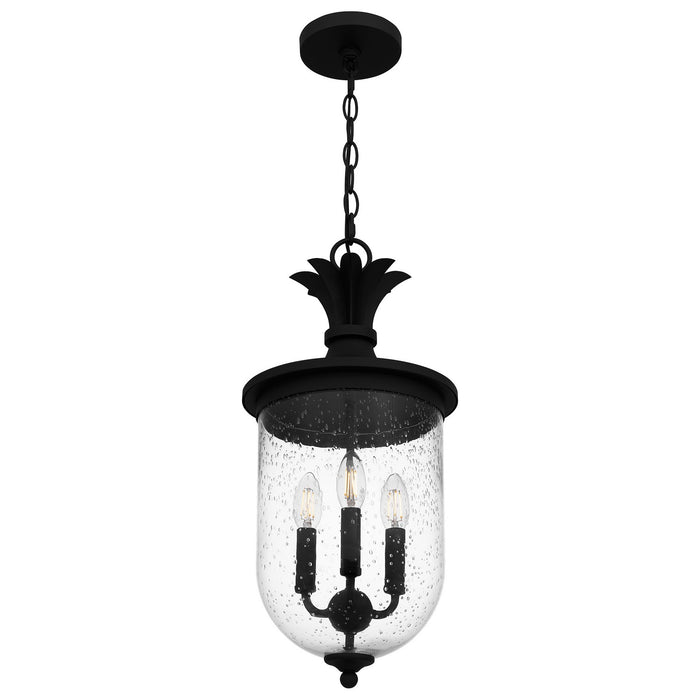 Quoizel HVN1510EK Three Light Pendant, Earth Black