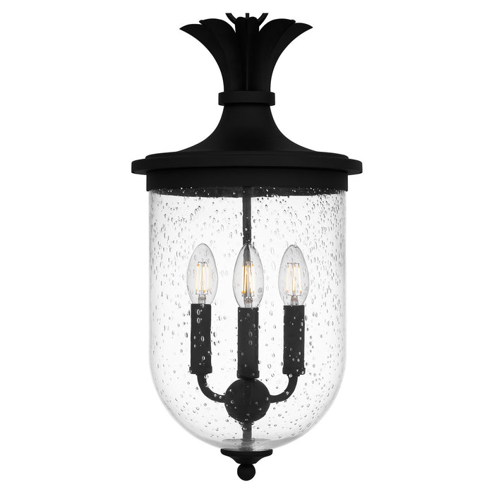 Quoizel HVN1510EK Three Light Pendant, Earth Black