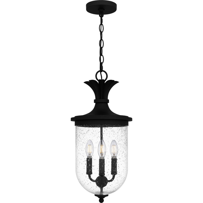 Quoizel HVN1510EK Three Light Pendant, Earth Black