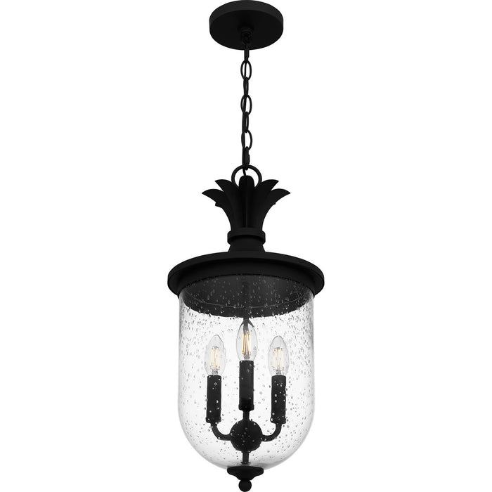 Quoizel HVN1910EK Three Light Outdoor Hanging Lantern, Earth Black