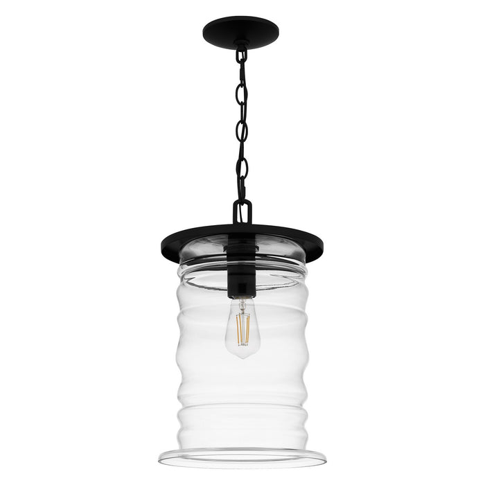 Quoizel NAD1510MBK One Light Mini Pendant, Matte Black