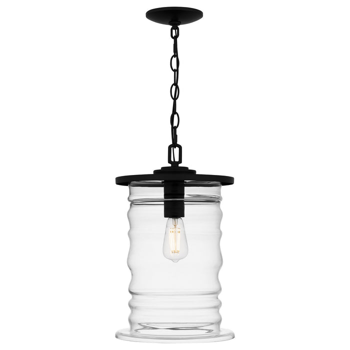 Quoizel NAD1510MBK One Light Mini Pendant, Matte Black