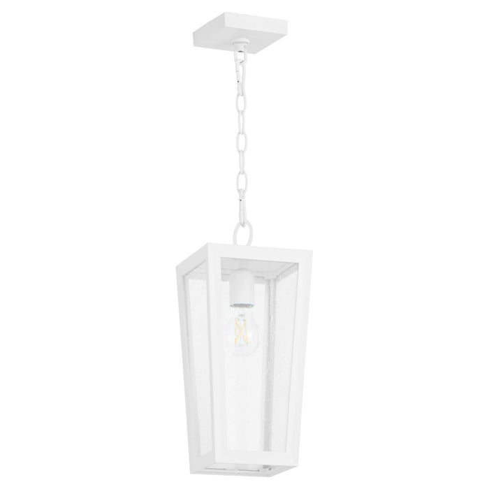 Quorum 716-6-6 One Light Pendant, White