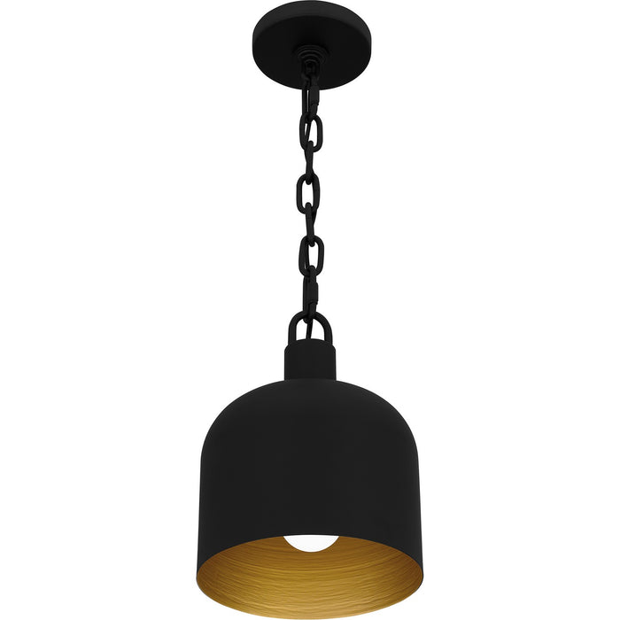 Quoizel QPP6206MBK One Light Mini Pendant, Matte Black