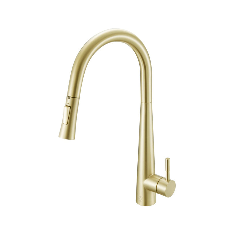 Elegant Lighting FAK-301BGD Kitchen Faucet, Brushed Gold
