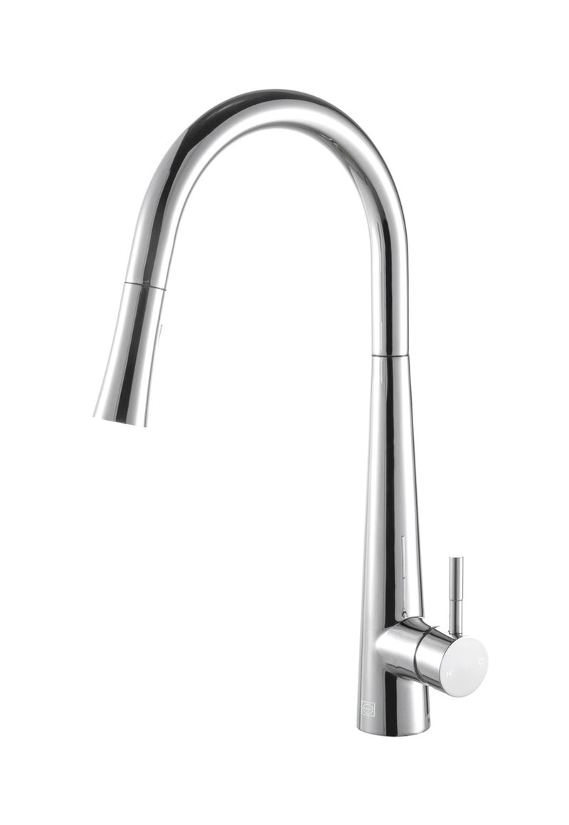 Elegant Lighting FAK-301PCH Kitchen Faucet, Chrome