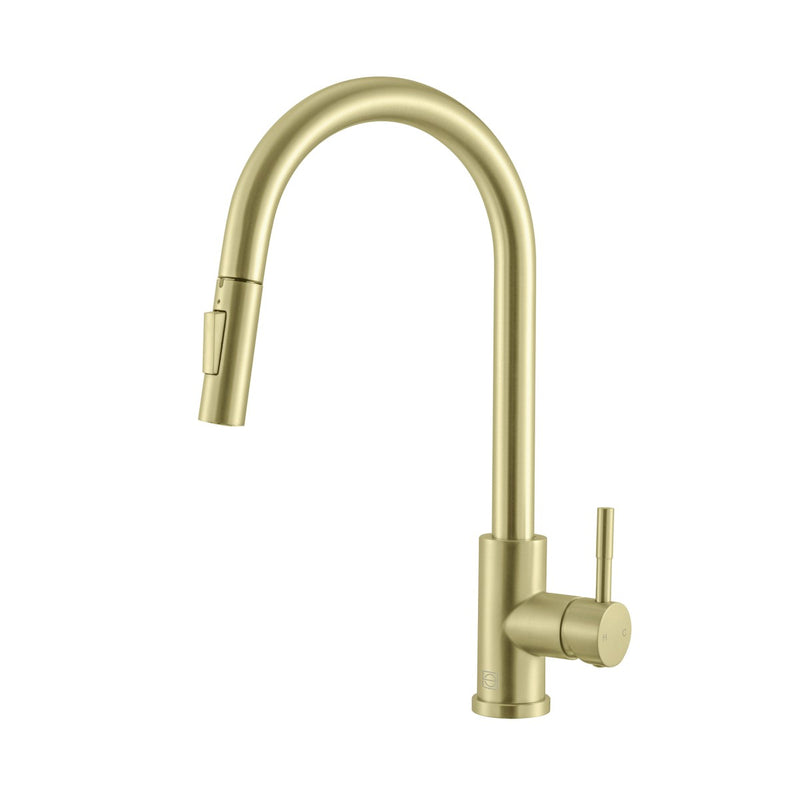 Elegant Lighting FAK-302BGD Kitchen Faucet, Brushed Gold