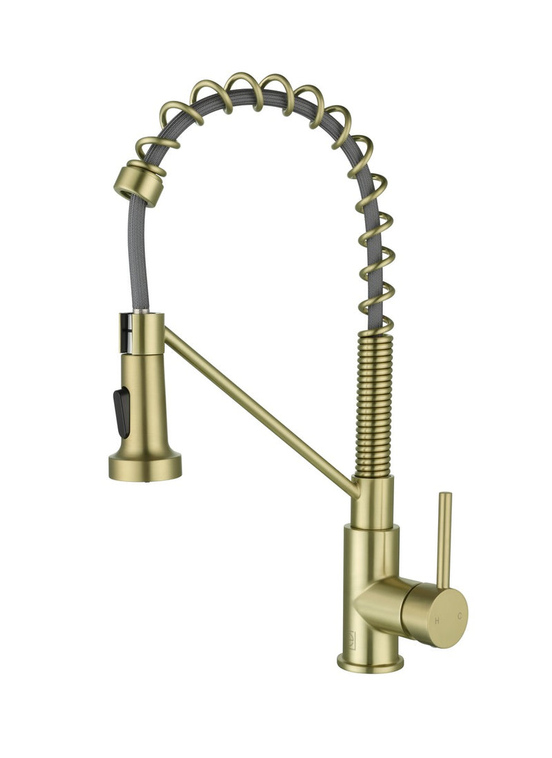 Elegant Lighting FAK-310BGD Kitchen Faucet, Brushed Gold