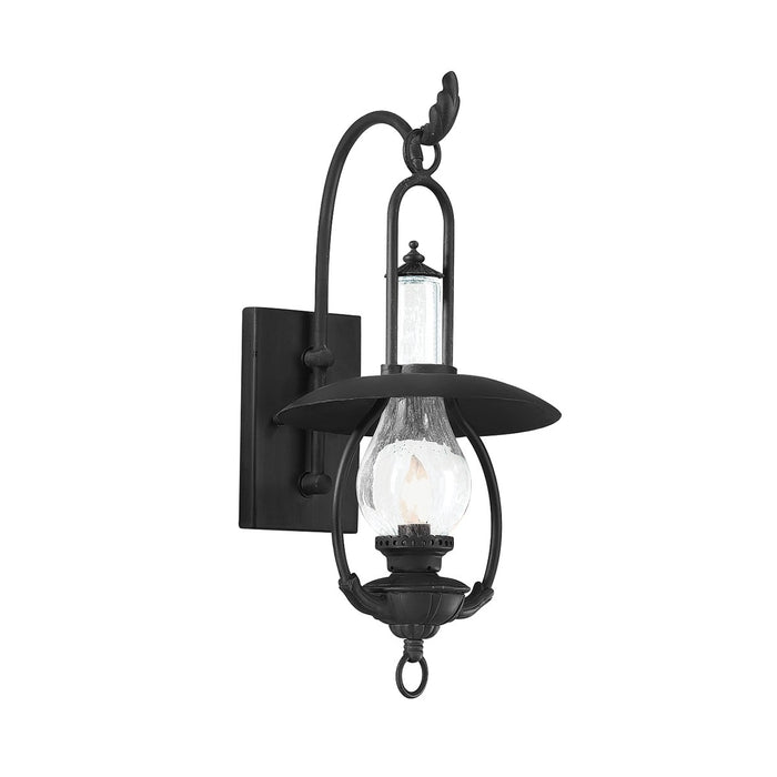 Troy Lighting B9010-SFB One Light Wall Lantern, Soft Off Black