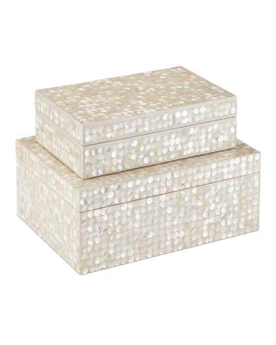 Currey and Company 1200-0904 Box Set of 2, Natural/Cream
