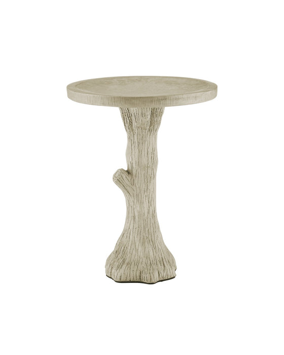 Currey and Company 2200-0044 Bird Bath, Portland