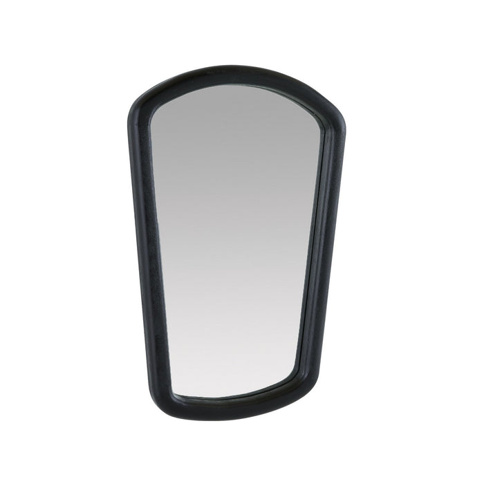 Arteriors WMI47 Mirror, Ebony/Plain