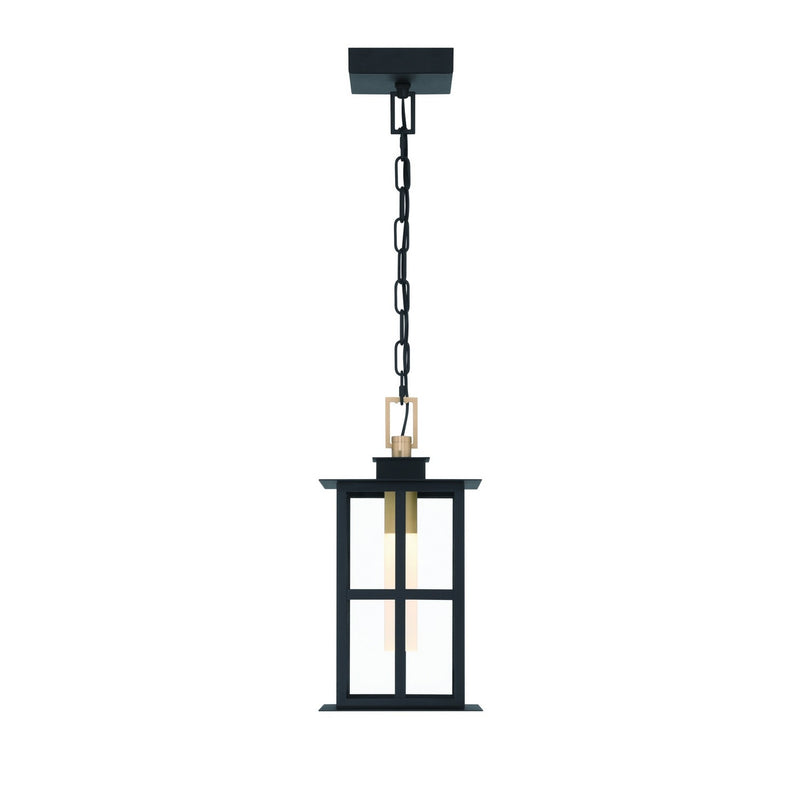 Eurofase 47388-017 LED Pendant, Brass-Black