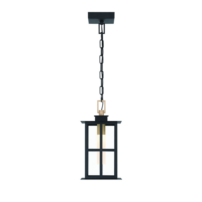 Eurofase 47388-017 LED Pendant, Brass-Black