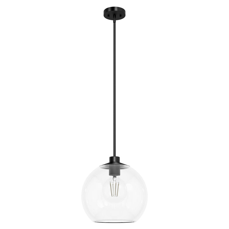 Hunter 19512 One Light Pendant, Matte Black