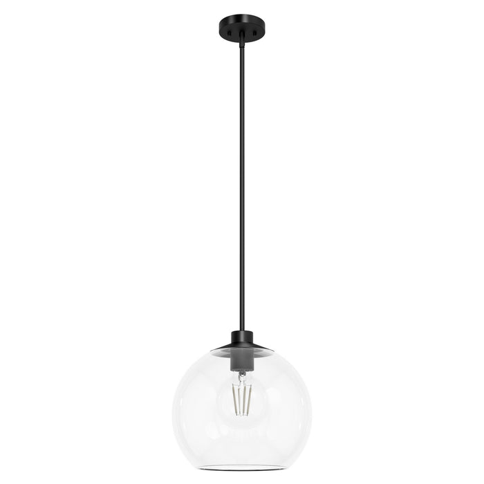 Hunter 19512 One Light Pendant, Matte Black