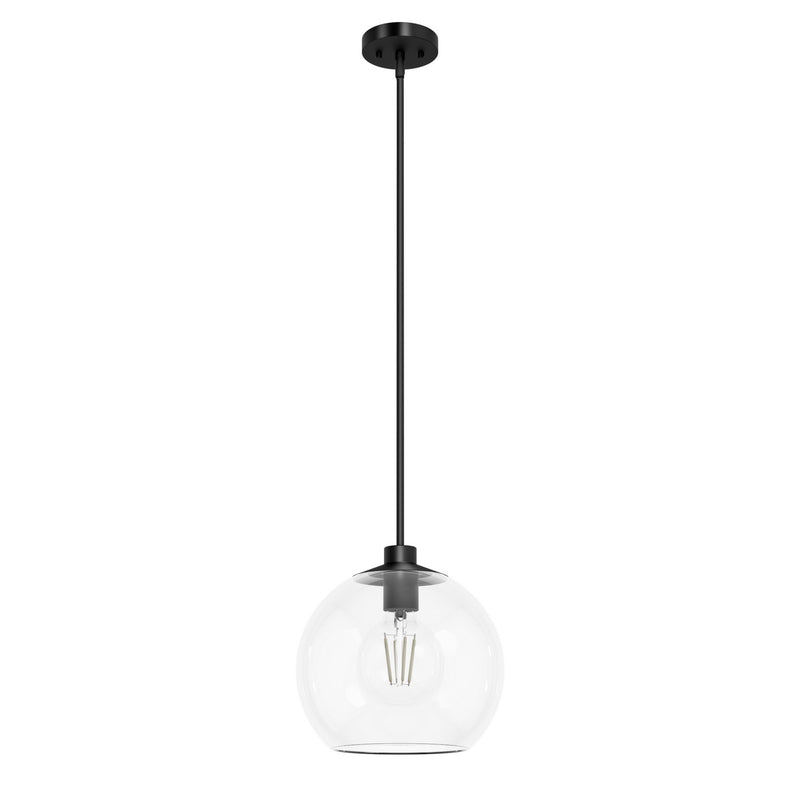 Hunter 19513 One Light Pendant, Matte Black