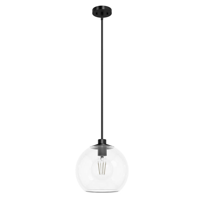 Hunter 19513 One Light Pendant, Matte Black