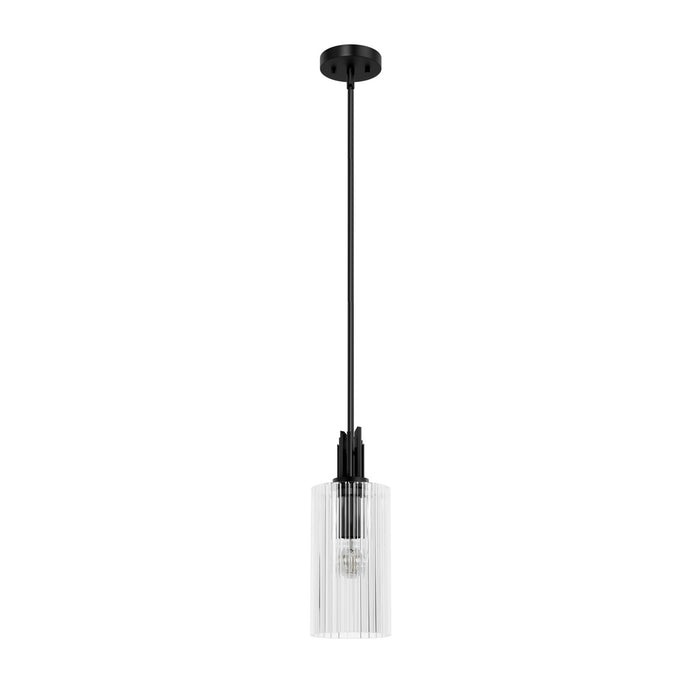Hunter 45224 One Light Pendant, Matte Black