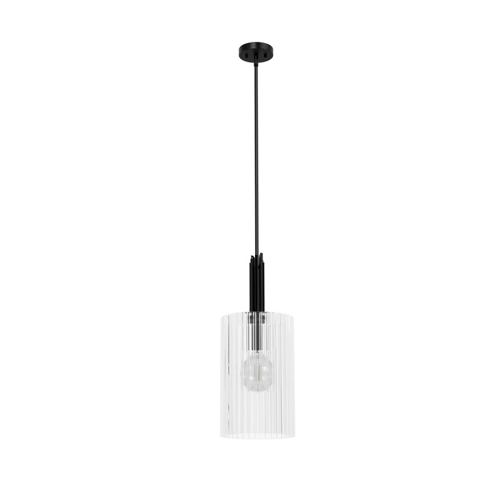 Hunter 45225 One Light Pendant, Matte Black