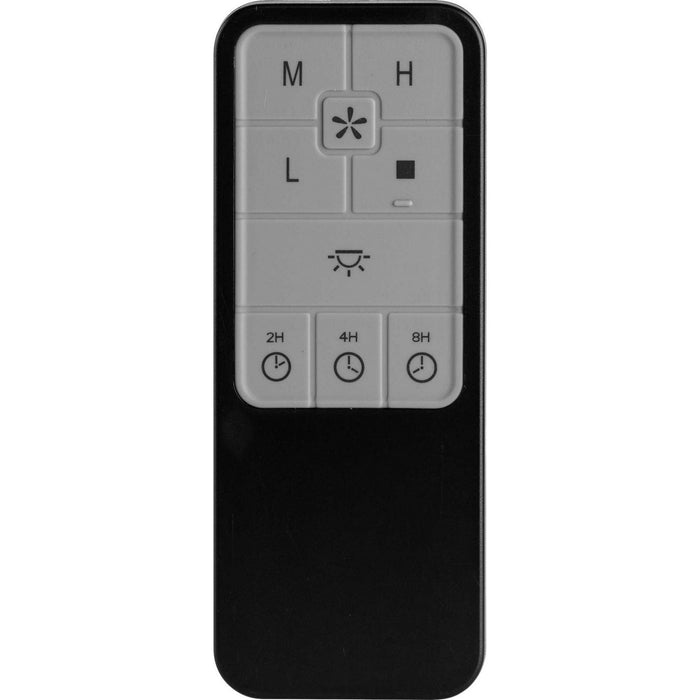 Progress Lighting P2667-31 Remote Control, Black