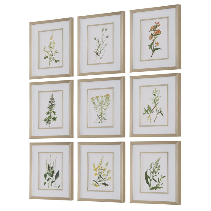 Uttermost 32339 Framed Prints, S/9, Champagne Gold