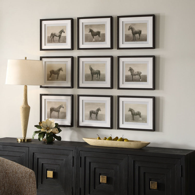Uttermost 32343 Framed Prints, S/9, Dark Walnut