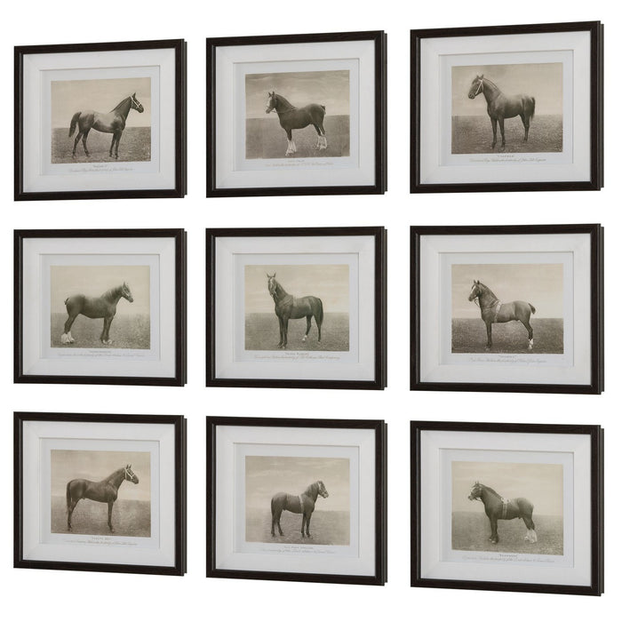 Uttermost 32343 Framed Prints, S/9, Dark Walnut