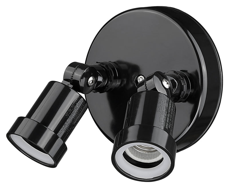 Acclaim Lighting FL2BK Two Light Floodlight, Black