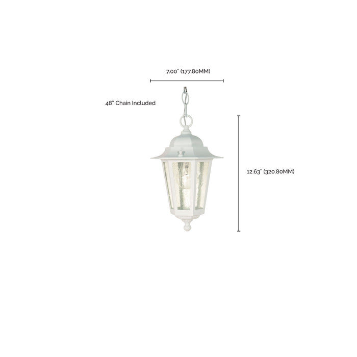Nuvo Lighting 60-991 One Light Hanging Lantern, White