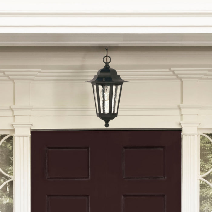 Nuvo Lighting 60-993 One Light Hanging Lantern, Textured Black